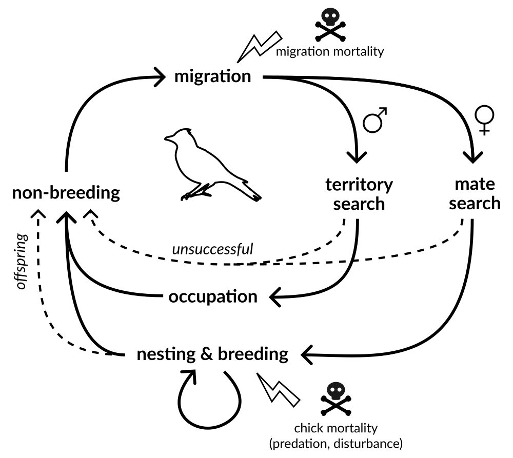 docs/src/assets/skylark_model.png